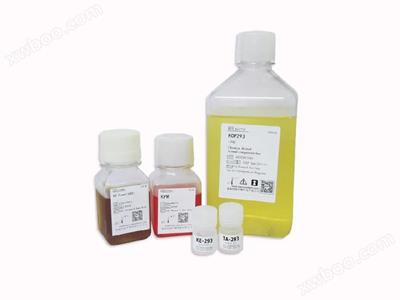 KOP293瞬時轉染蛋白(bai)錶(biao)達係(xi)統