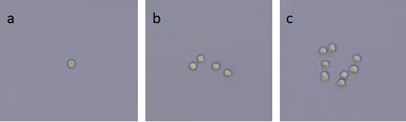 88.png